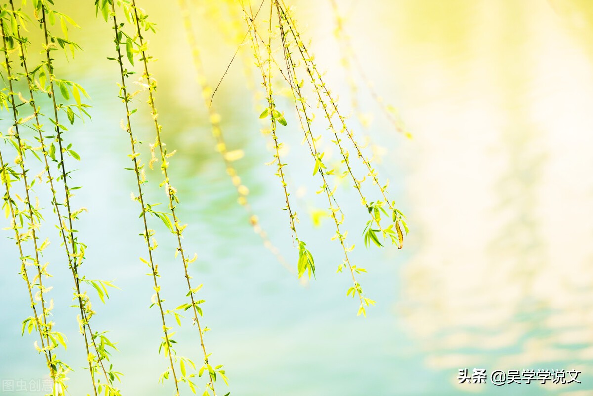 描写花园景色的句子说说（赞美植物园诗词七言）