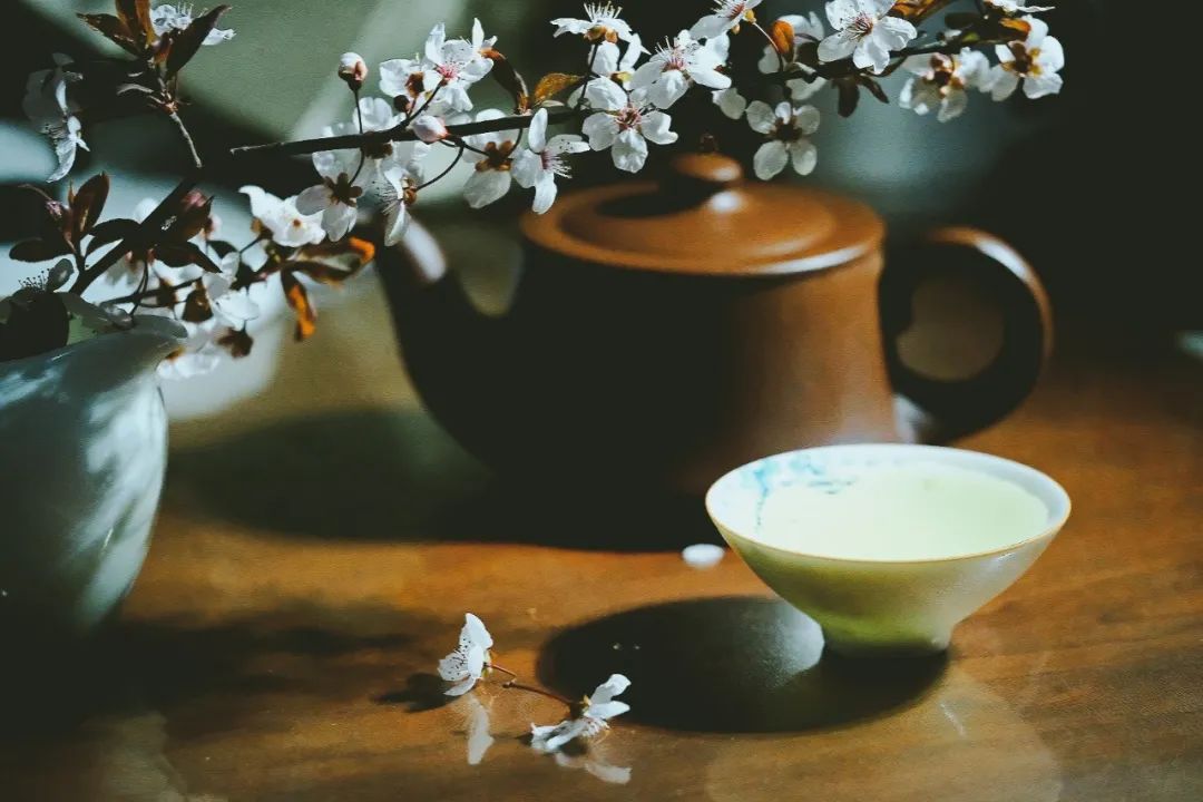 关于落花的诗句有哪些（感叹落花的诗句）