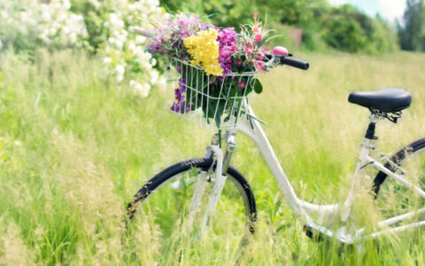 午后阳光唯美意境句子（夏天的午后唯美句子）