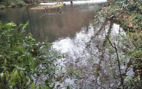 现代古诗词短诗（好背又很短的古诗）