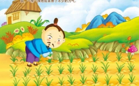 古代寓言拔苗助长读后感（拔苗助长给人的启示）
