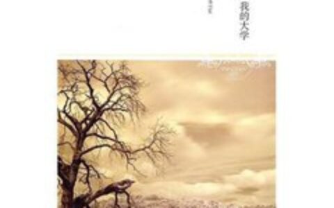 童年摘抄好词好句（童年读书笔记摘抄）