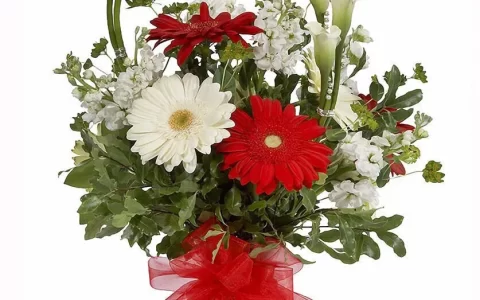 送李副使赴碛西官军翻译（送李副使赴碛西官军赏析）