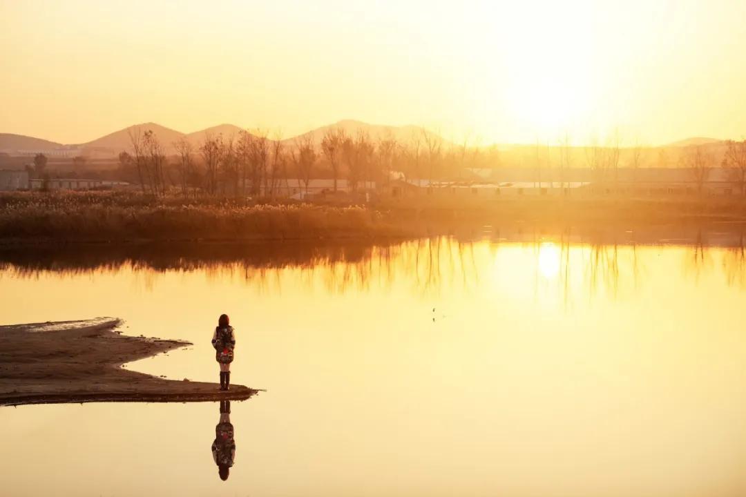 令人感动的句子摘抄（爱的表达语感动的短句）