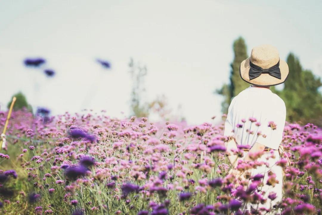 令人感动的句子摘抄（爱的表达语感动的短句）