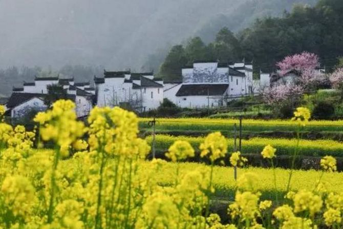 关于乡村的古诗有哪些（描写乡村生活的现代诗）