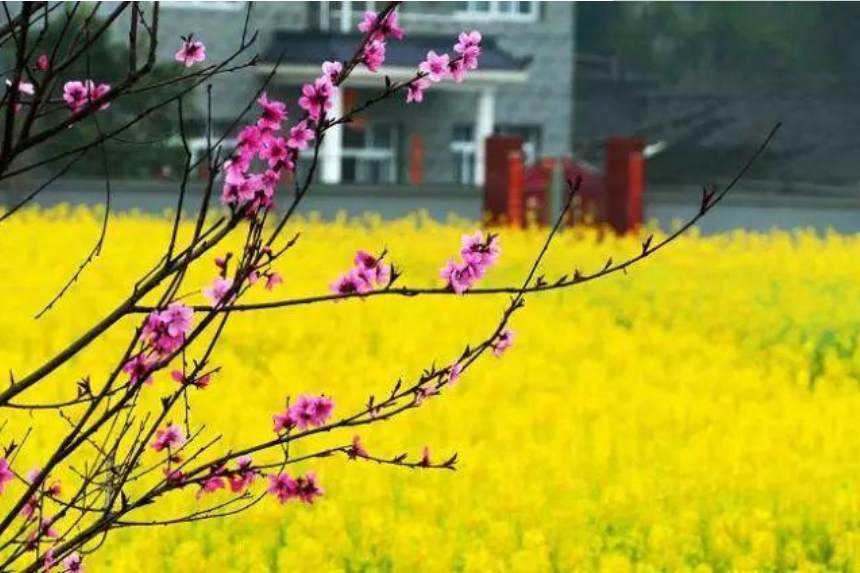 关于春天的诗有哪些（十五首关于春天的古诗）