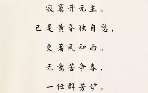 零落成泥碾作尘的意思（卜算子咏梅诗词赏析）