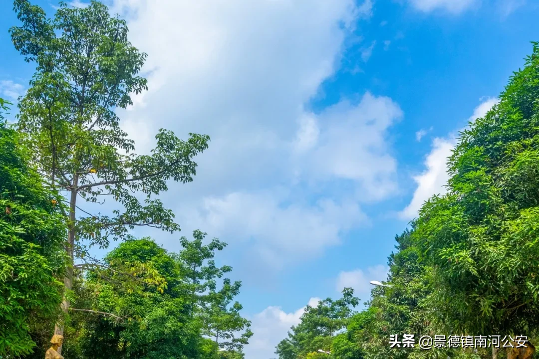 描写乡村生活的诗词有哪些（描写乡村风光的诗句）