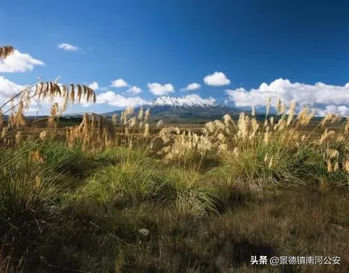 描写乡村生活的诗词有哪些（描写乡村风光的诗句）