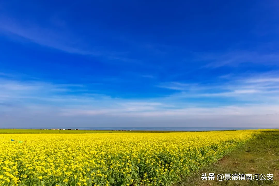 描写乡村生活的诗词有哪些（描写乡村风光的诗句）