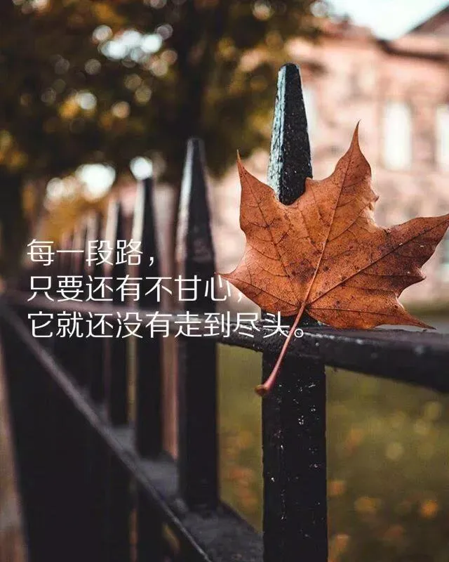 描写雨天的佳句（经典名言名句人生感悟）