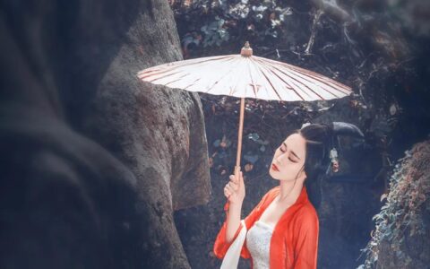 夜泊秦淮近酒家（烟笼寒水月笼沙夜泊秦淮近酒家全诗赏析）