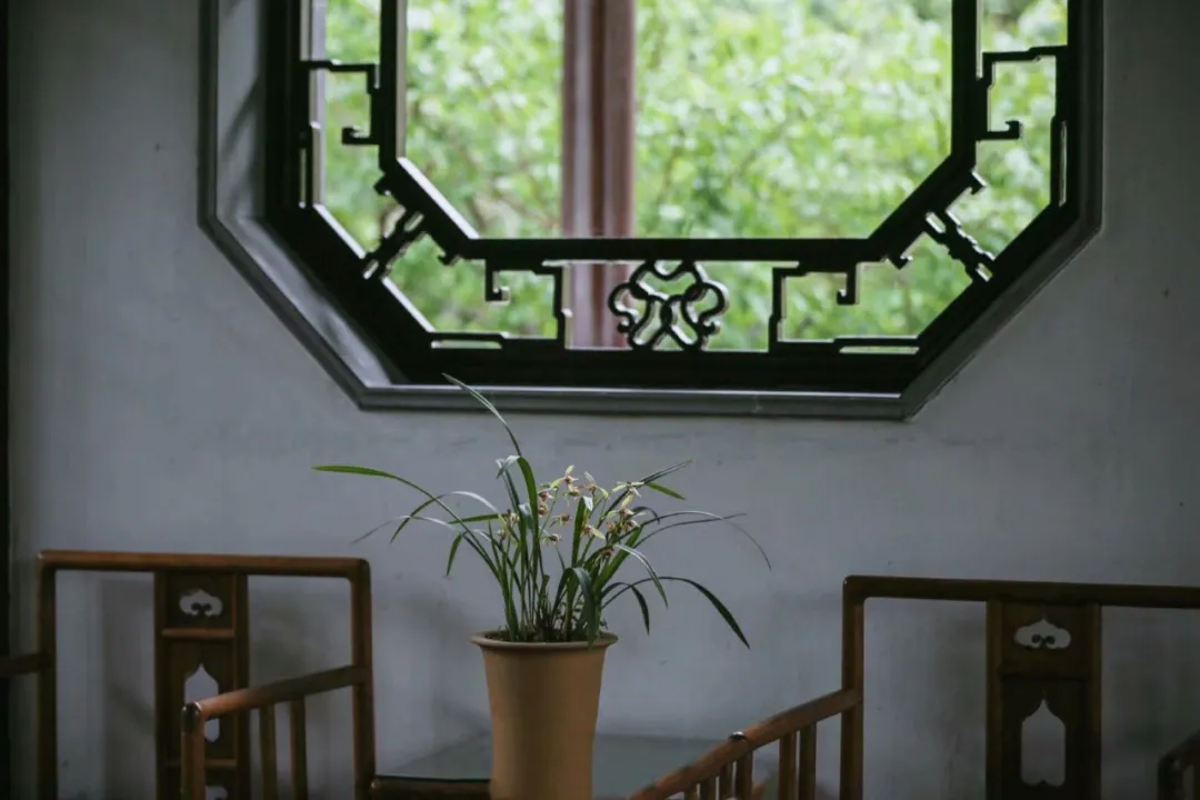 描写兰花的古诗词（赞兰花诗词最美的诗词）