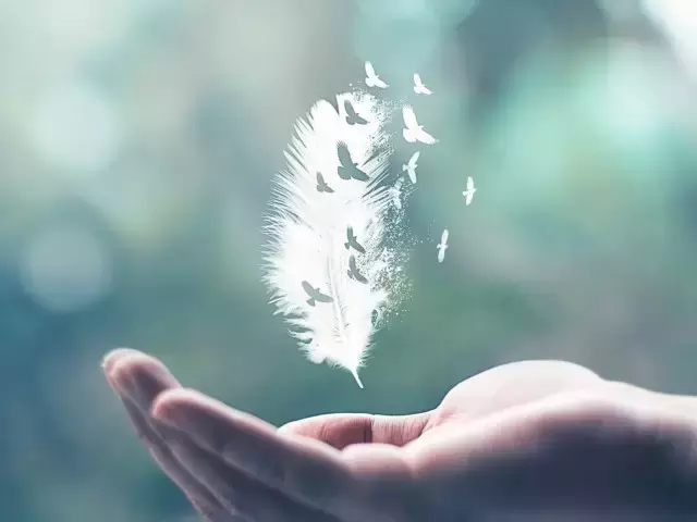 时间过的快的唯美句子（形容时光飞逝的经典语句）