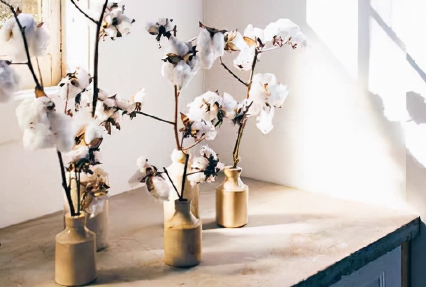 正青春的励志句子（正能量青春励志语录）