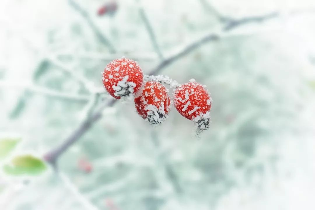 写冬天的诗句古诗（描写冬天美景的古诗）