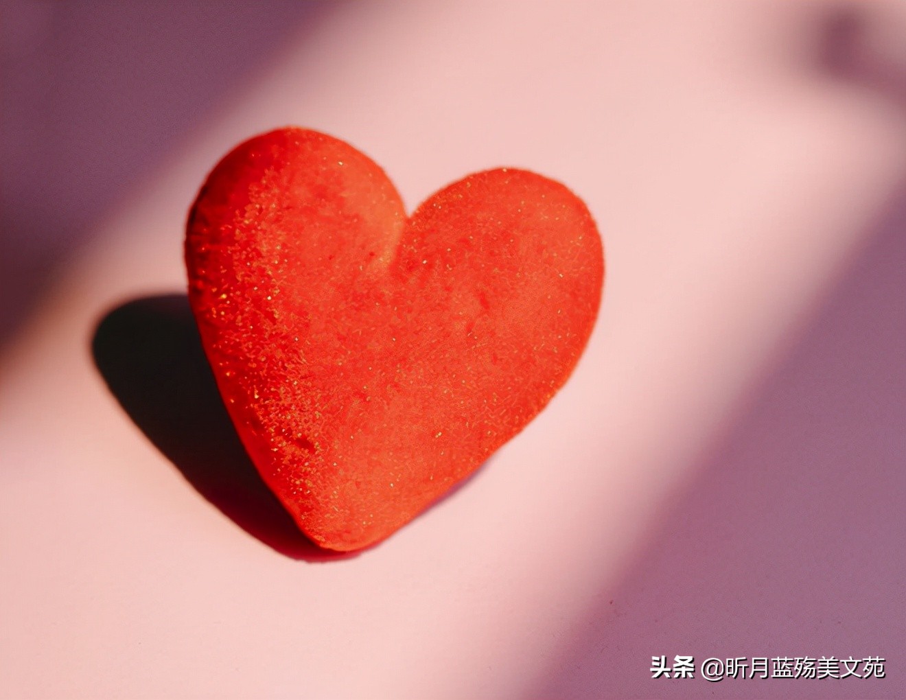 人间真情的优美句子（真情美句摘抄大全）