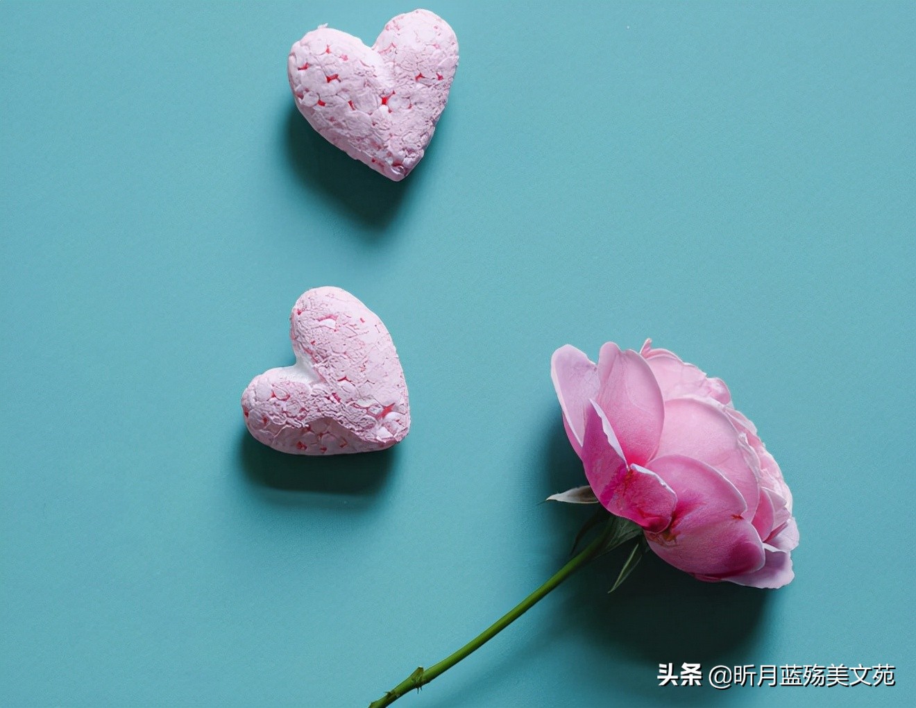 人间真情的优美句子（真情美句摘抄大全）