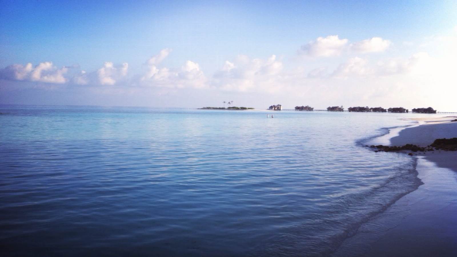 胸无大志是什么意思（胸无大志解释和意思）