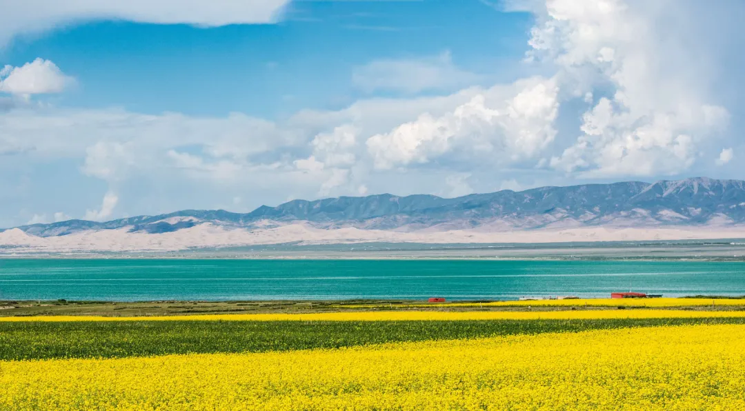 春分的诗句有哪些（关于春分的古诗四句）