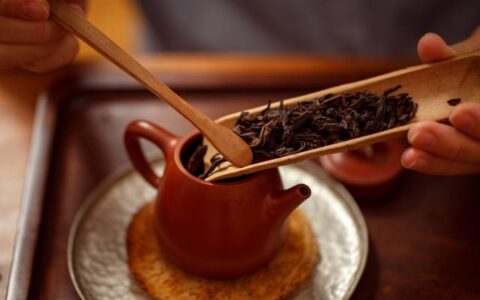 品茶的精美句子（最高境界的茶道诗句）