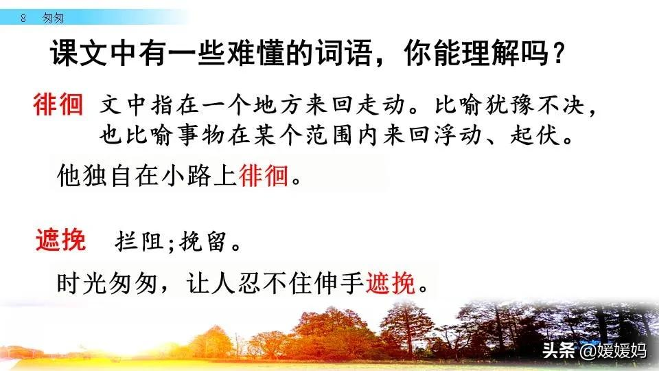 六年级语文课文匆匆原文（匆匆全篇诗意及考题大纲解读）