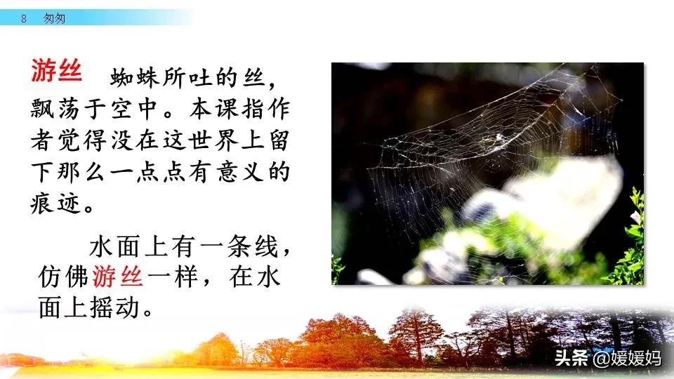 六年级语文课文匆匆原文（匆匆全篇诗意及考题大纲解读）