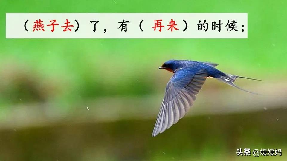 六年级语文课文匆匆原文（匆匆全篇诗意及考题大纲解读）