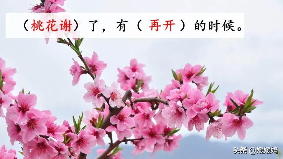 六年级语文课文匆匆原文（匆匆全篇诗意及考题大纲解读）