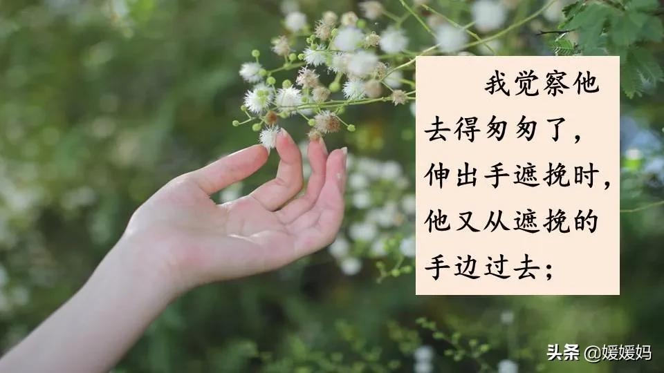 六年级语文课文匆匆原文（匆匆全篇诗意及考题大纲解读）