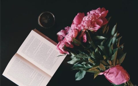 早上励志语优美（早上励志吸引朋友圈的句子）