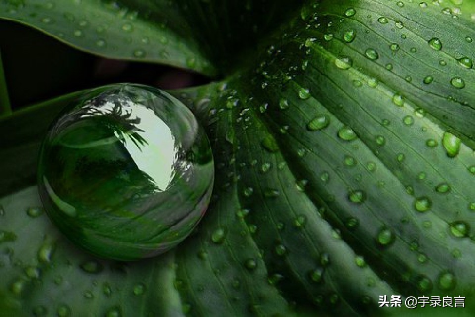 形容精神状态好的经典句子(状态好的正能量的句子)