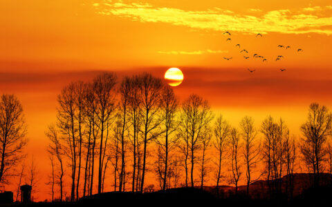 描写黄昏的诗句（落日余晖的优美句子）