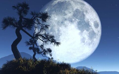 描写月亮的诗句古诗（寄月抒情的10首中秋诗）