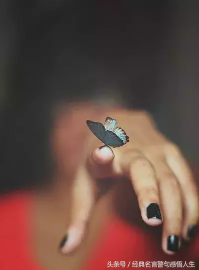 感恩话语简短真诚（感谢的话语暖心简短）