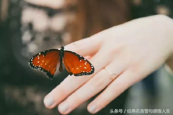 感恩话语简短真诚（感谢的话语暖心简短）