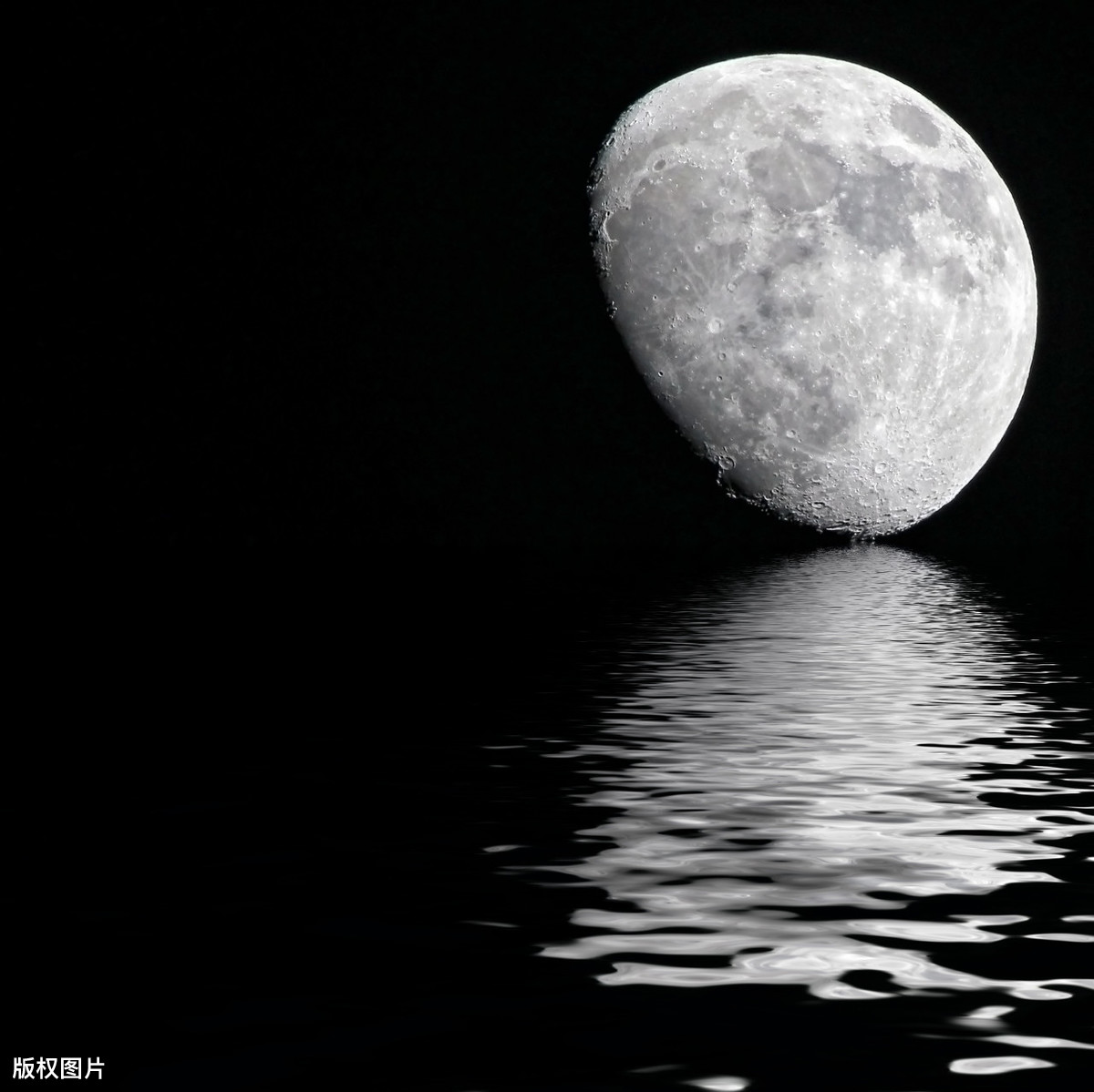 带月诗句古诗大全（关于月亮的古诗词）