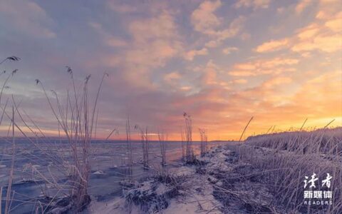 描写冬天的好句子简短（赞美冬天的一句话）