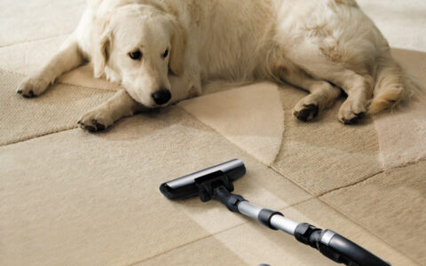 成功人士的故事简短版（最成功的励志故事分享）