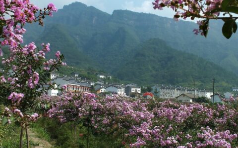 何人不起故园情全诗（关于乡愁的诗句）