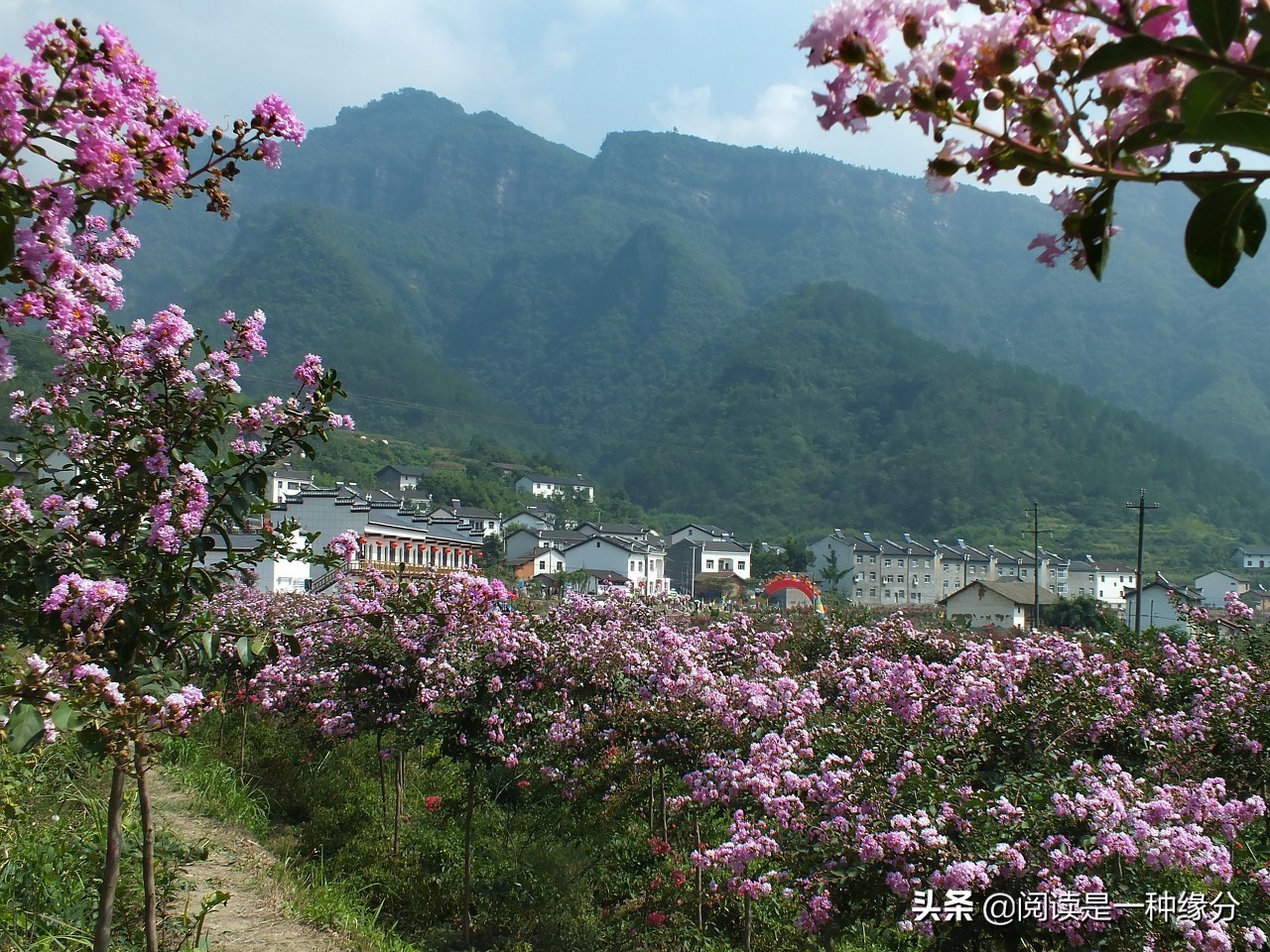 何人不起故园情全诗（关于乡愁的诗句）