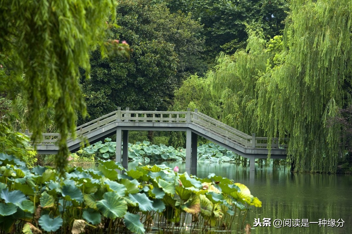 何人不起故园情全诗（关于乡愁的诗句）