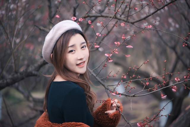 带有梅花的诗句有哪些（含有梅花的诗句大全）