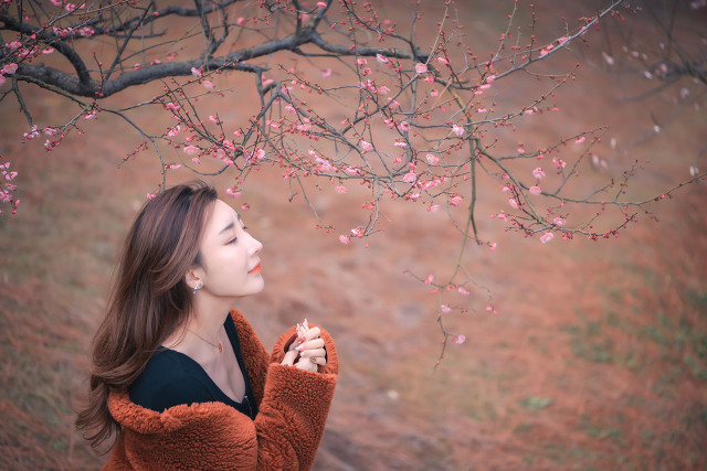 带有梅花的诗句有哪些（含有梅花的诗句大全）