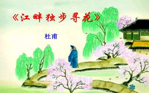 江畔独步寻花其四赏析（江畔独步寻花的思想感情）