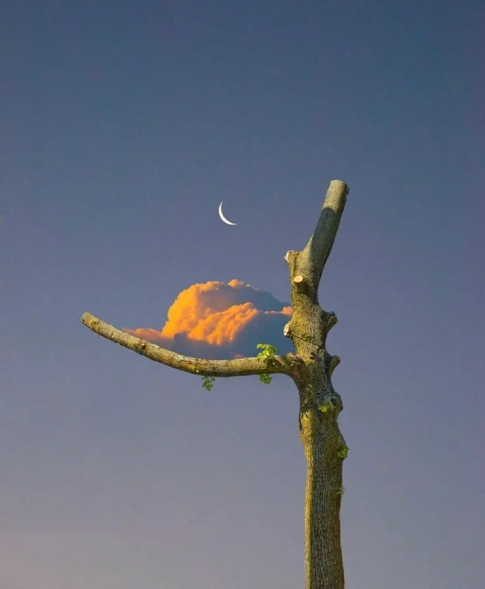 伤感爱情扎心的句子（痛到骨子里心碎的句子）