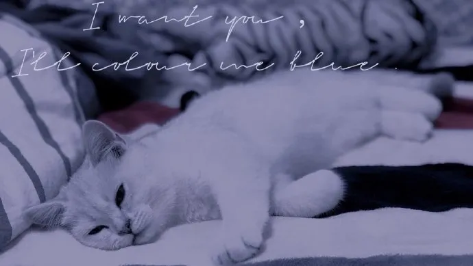 伤感爱情扎心的句子（痛到骨子里心碎的句子）