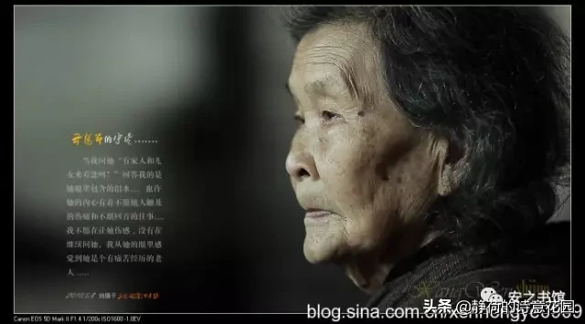 写母亲的诗句古诗（赞美母爱的诗句或古诗）