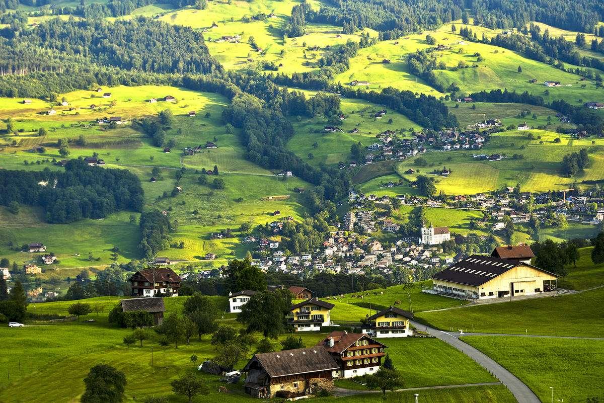 少壮不努力老大徒伤悲出自哪首诗（诗经全部简介）